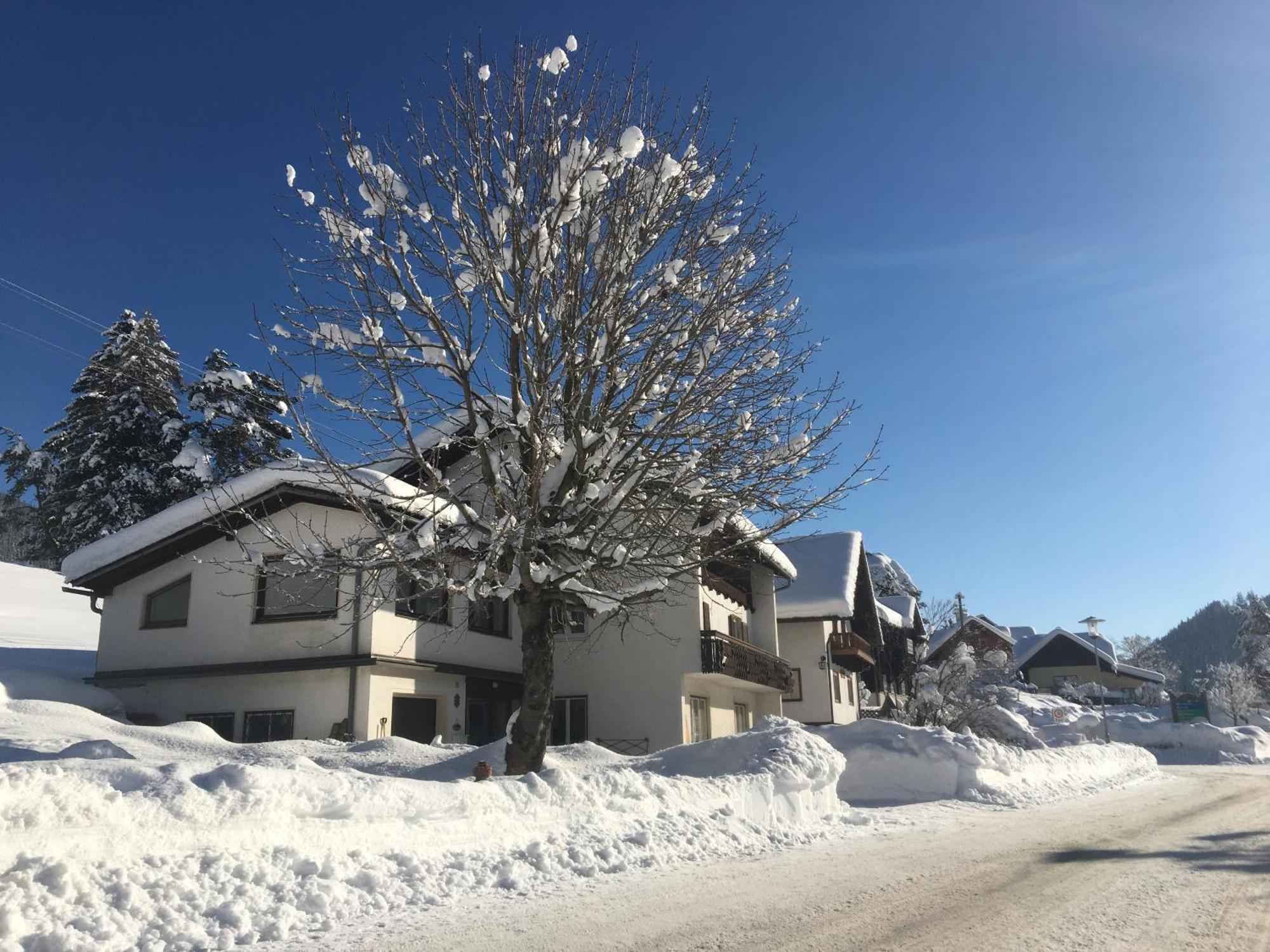 Haus Alpentraum Apartment Patergassen Bagian luar foto